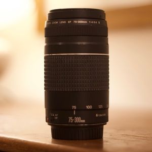 Canon EF 75-300mm f/4-5.6 III Telephoto Zoom Lens